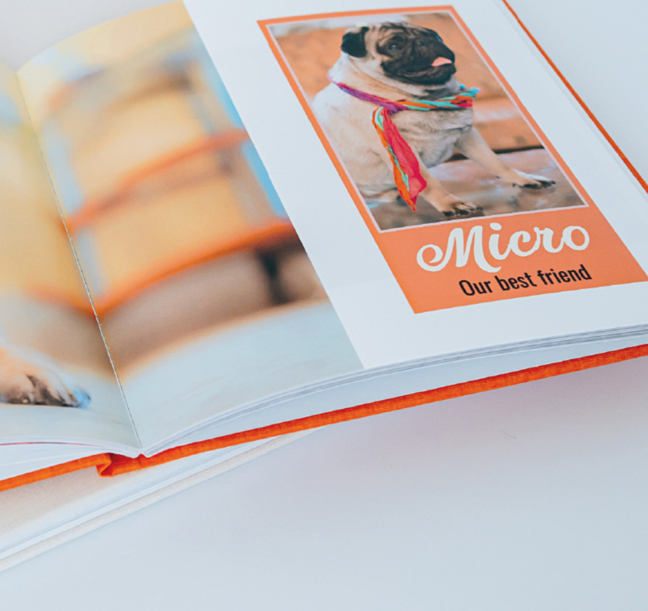 Pick Libro Fotografico Da Colorare Crayola - Multi, 21 X 0,5 X 29,7 Cm - 48 Pagine Selvaggio - Per Bambini 3+