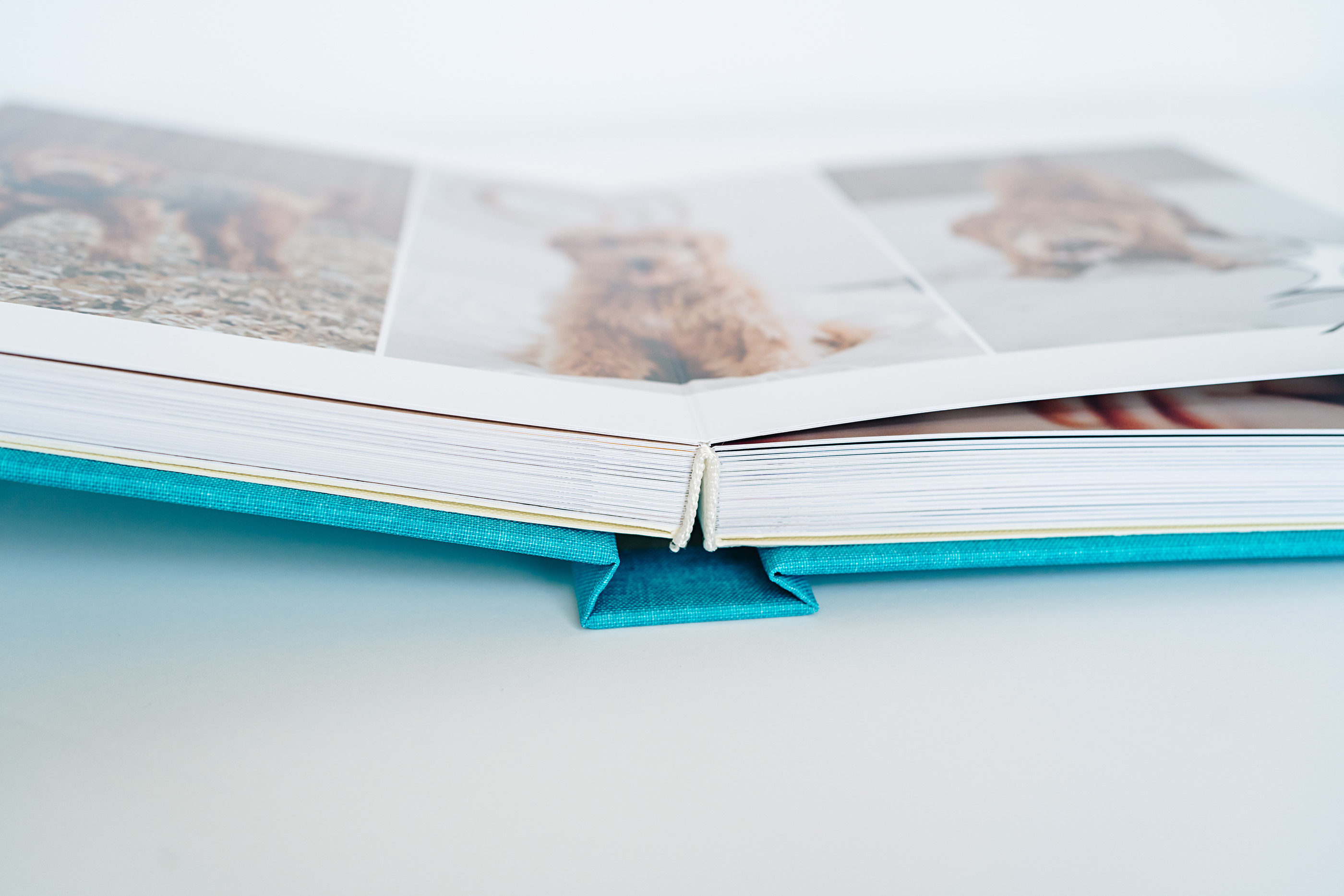 Close-up to show thick pages of a premium photo album