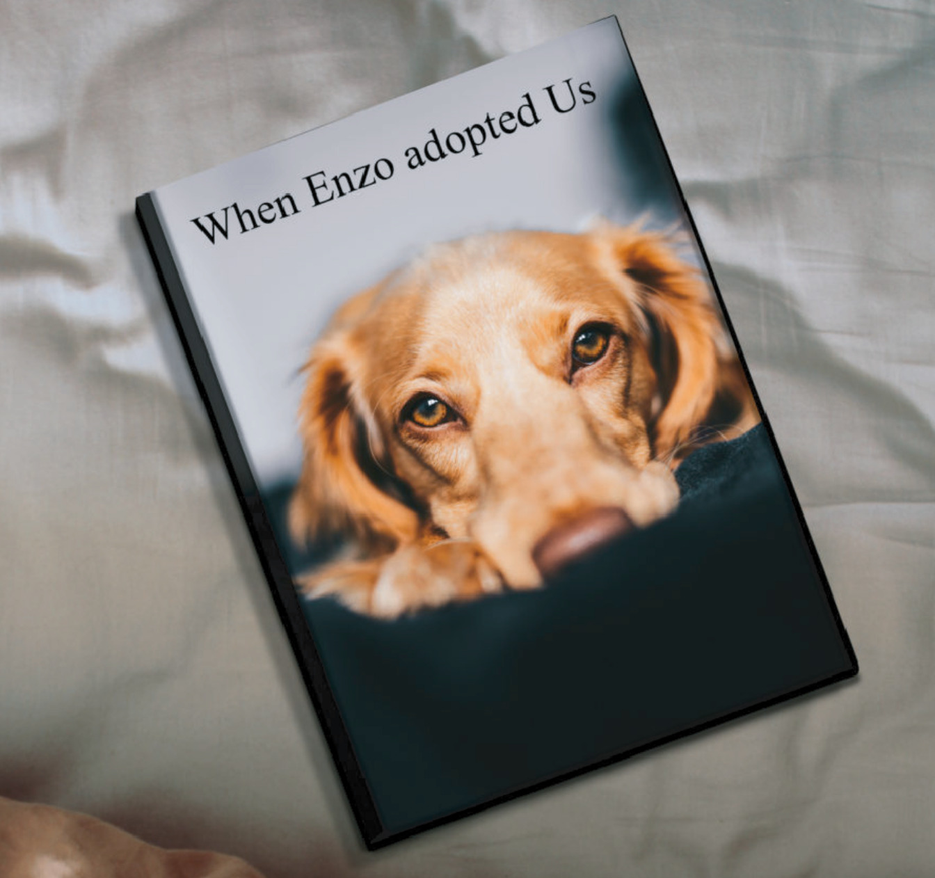 Dog on pet photo book cover