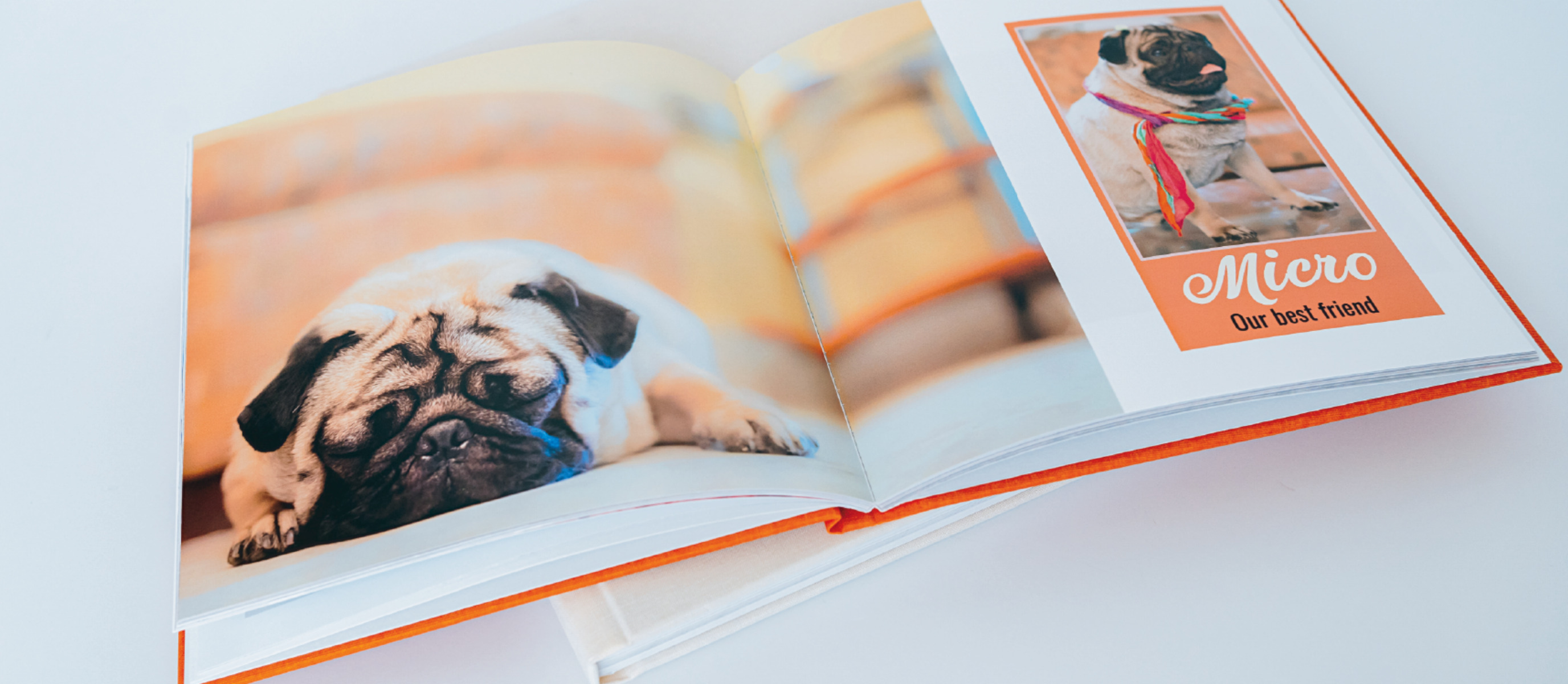 Offenes Haustier Fotobuch mit Hund