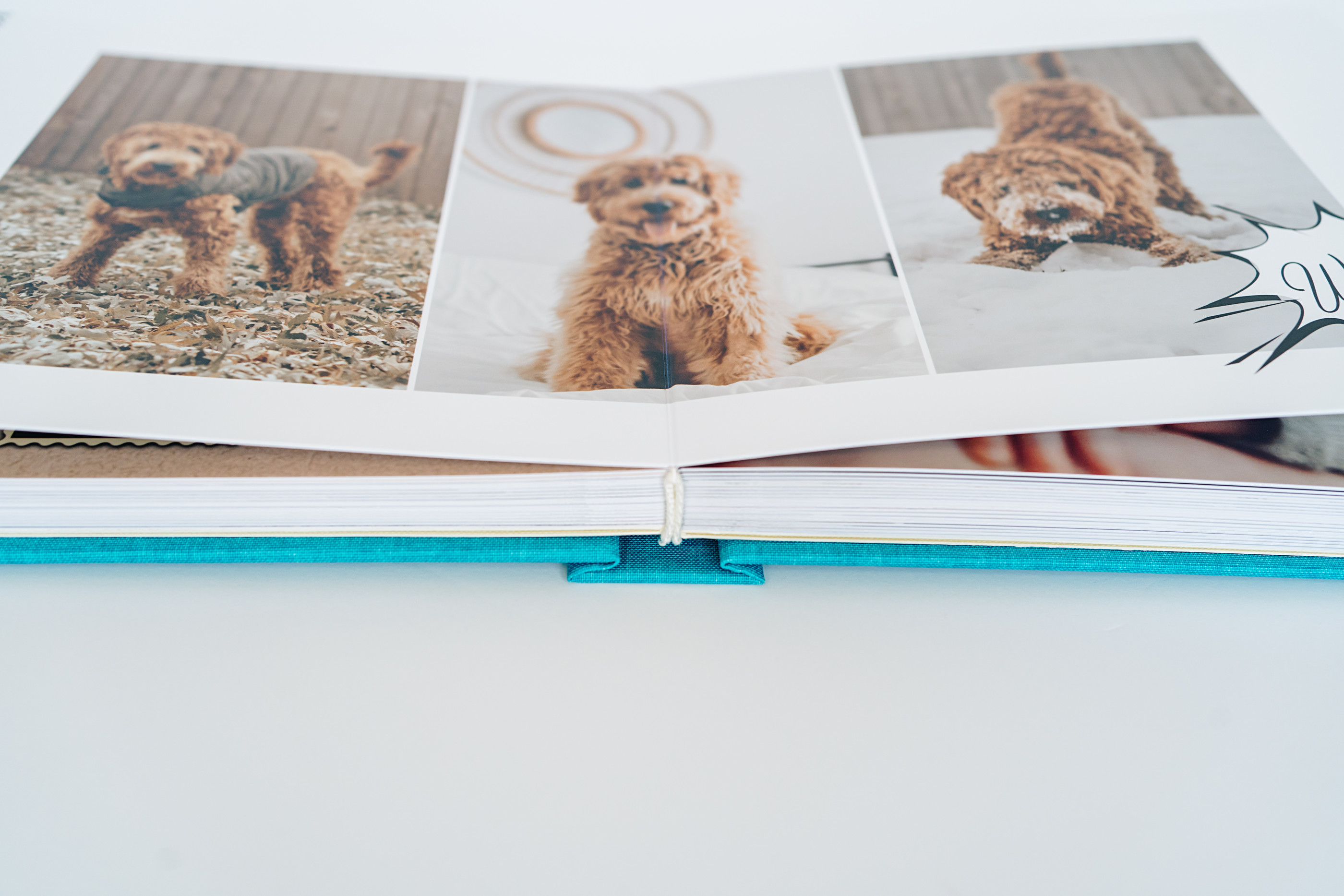 Family photo album book on shelf