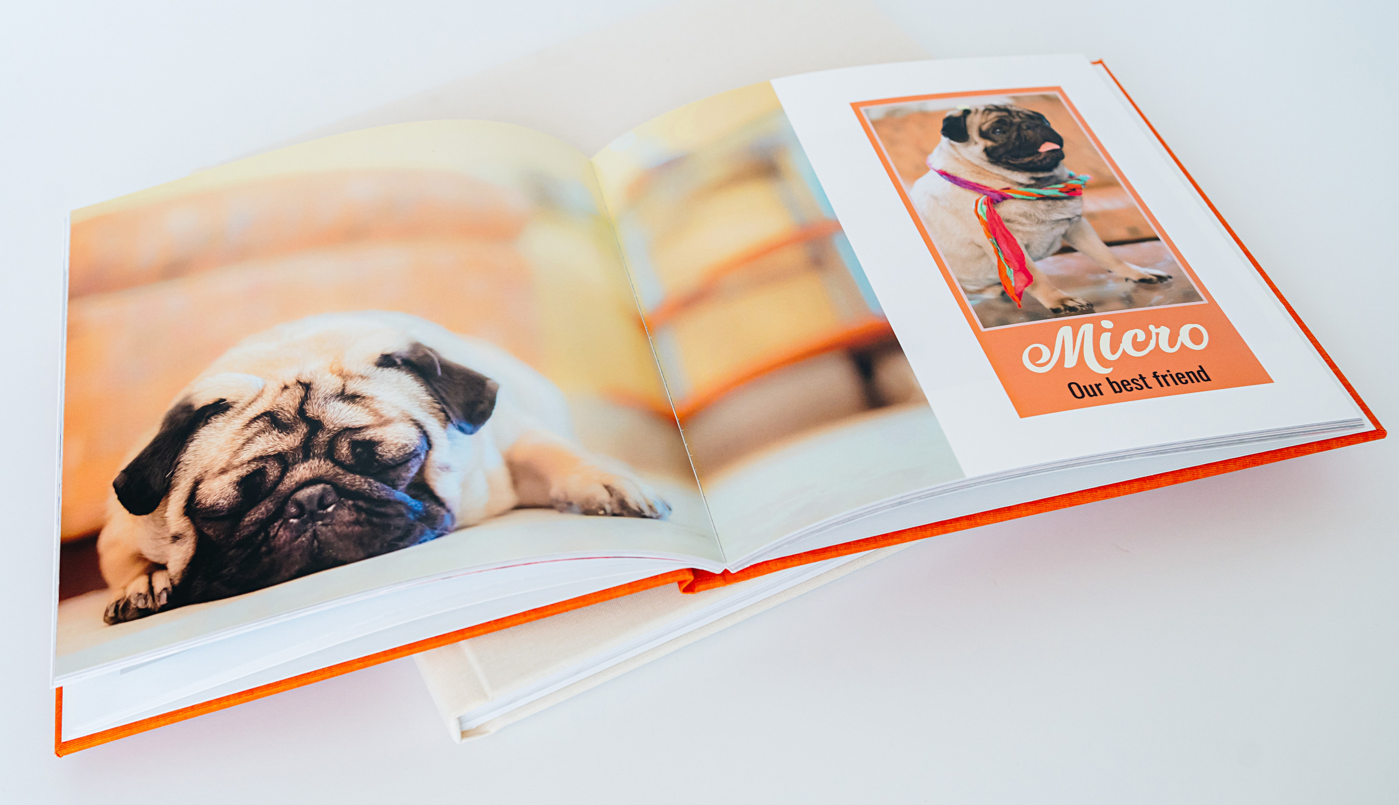 Photo Book example showing image of dogs