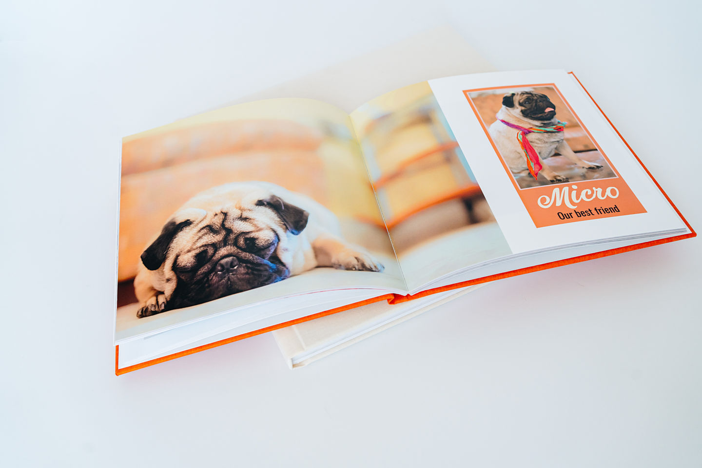 An open everyday photo book with image of dogs