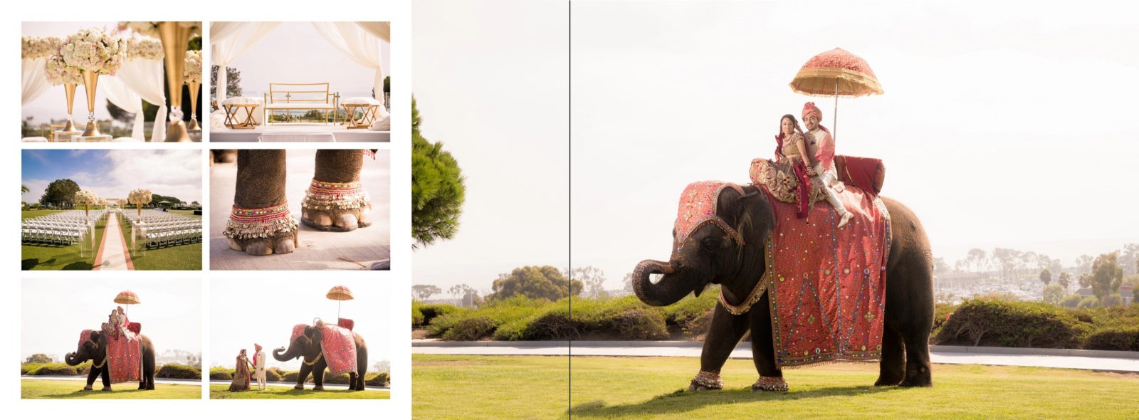 The Ultimate Guide To Indian Wedding Album Design Pikperfect Indian